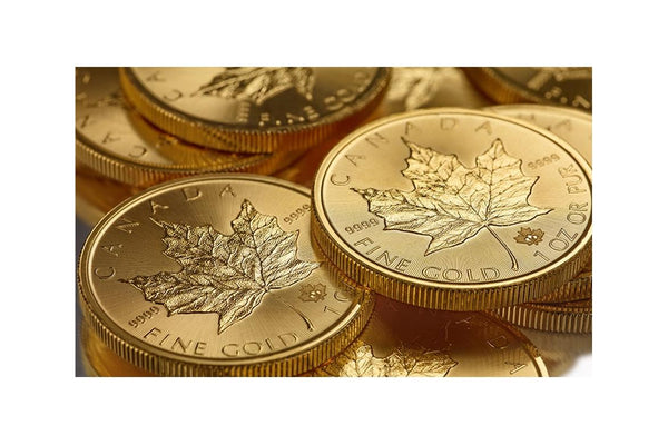 La Maple Leaf : l’or d’investissement par excellence