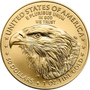 American Eagle  1oz | Or 99,9% |