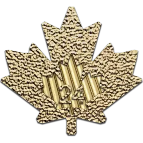 Maple Leaf  Canada 1oz | Or  99,9% |