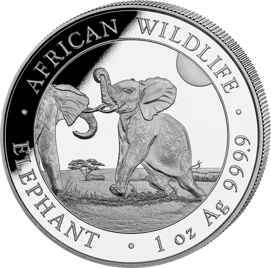 Somalie Èléphant 1oz | Argent 99,9%|