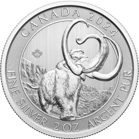Ice Age Woolly Mammoth  2 oz | argent 99,9% |